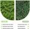 Fake Green Moss for Crafts 7 Oz Decorative Artificial Moss for Crafts Decorative Faux Moss Table Centerpieces Wedding Party Decor Fairy Garden Floral DIY